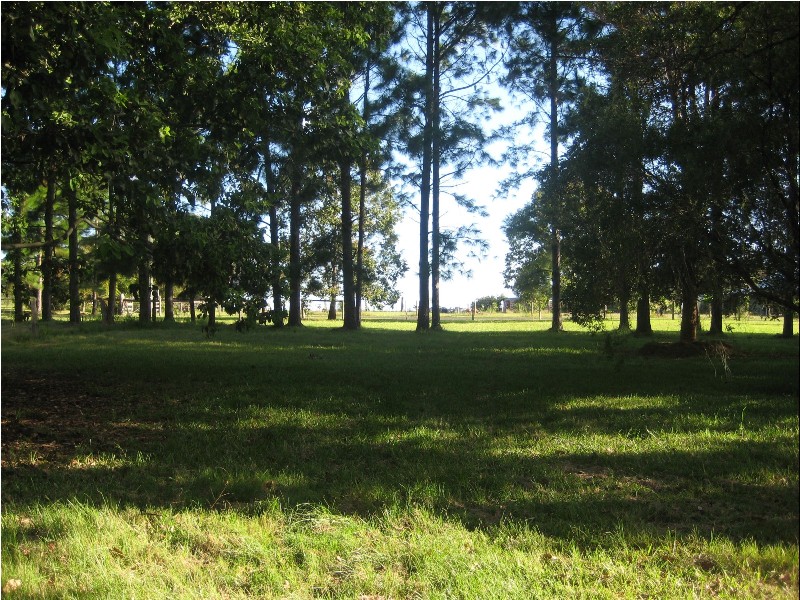 Woombah NSW 2469