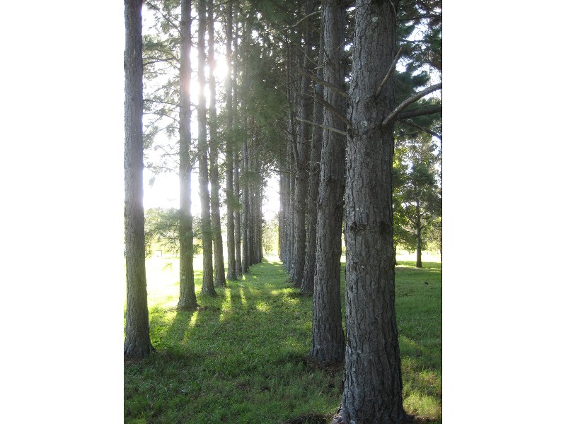 Woombah NSW 2469
