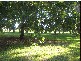 Woombah NSW 2469