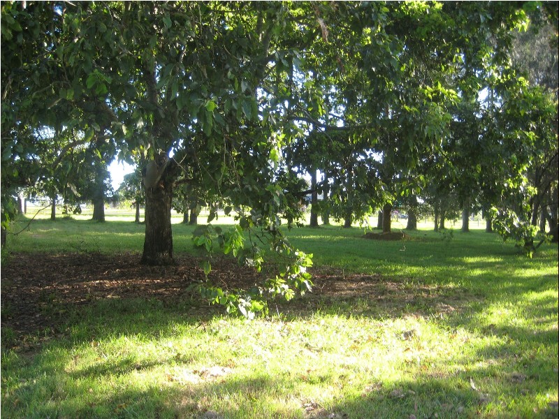 Woombah NSW 2469