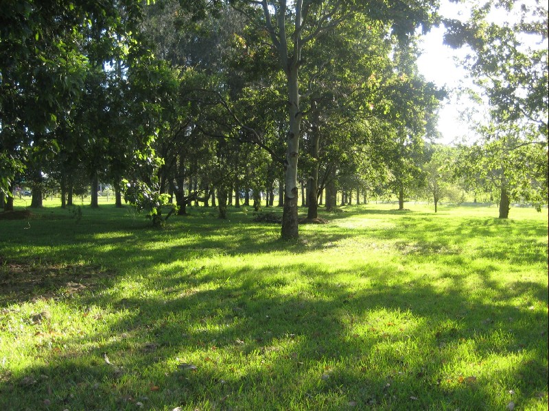 Woombah NSW 2469