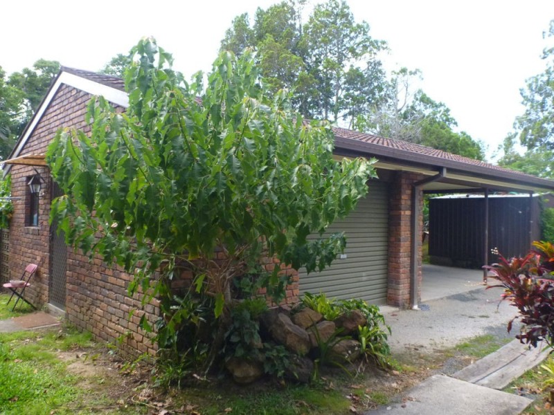 14 Queen Lane, Iluka NSW 2466