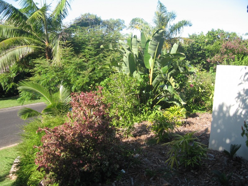 Mission Beach QLD 4852