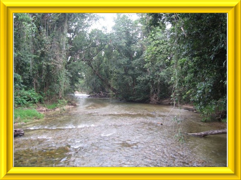 Mission Beach QLD 4852