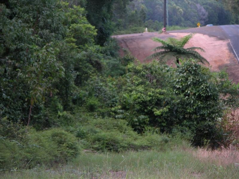 Mission Beach QLD 4852