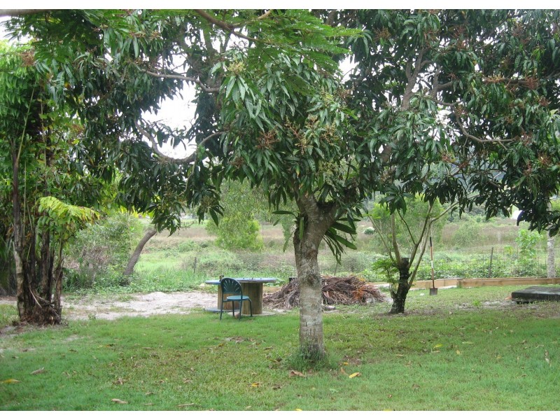 Mission Beach QLD 4852