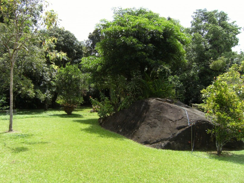 Tully QLD 4854