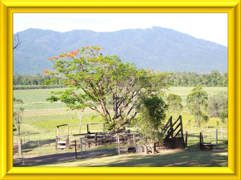 Tully QLD 4854