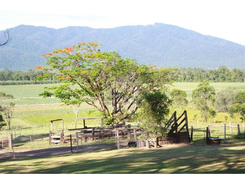 Tully QLD 4854