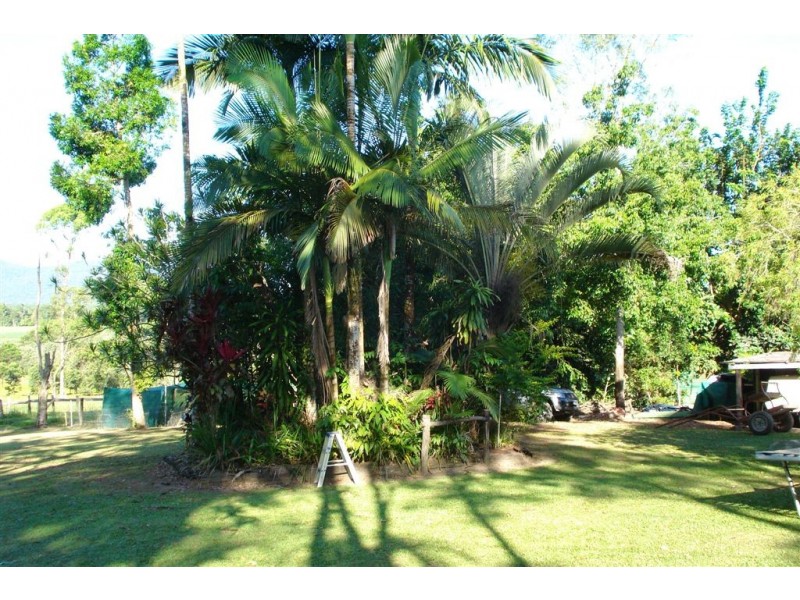 Tully QLD 4854