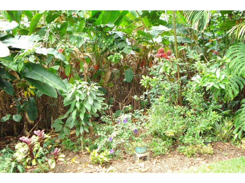 Mission Beach QLD 4852