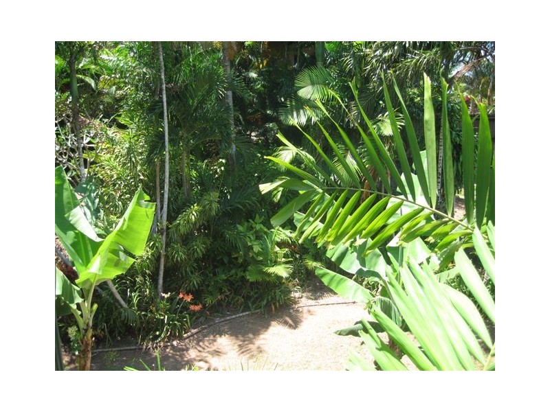 Mission Beach QLD 4852