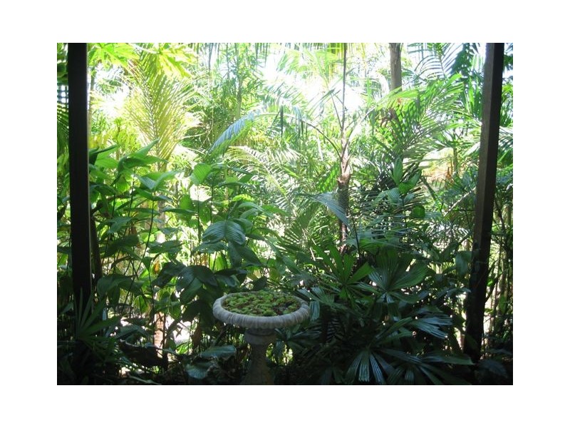 Mission Beach QLD 4852