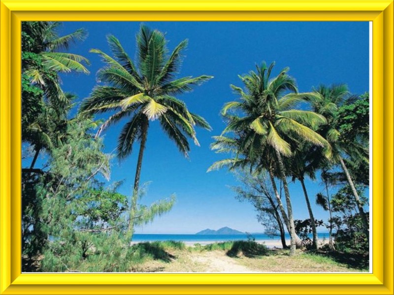 Mission Beach QLD 4852