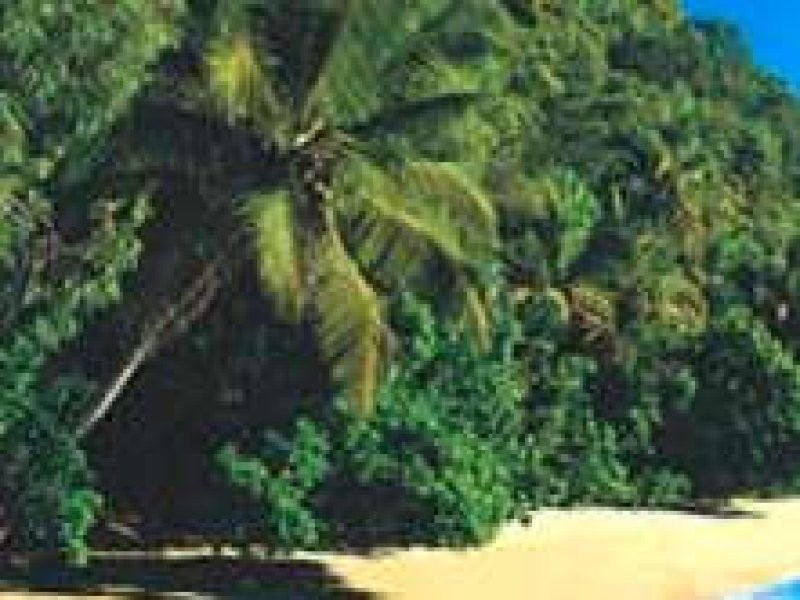 Mission Beach QLD 4852