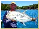 Mission Beach QLD 4852