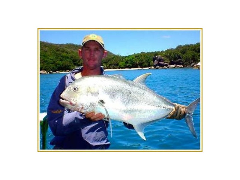 Mission Beach QLD 4852