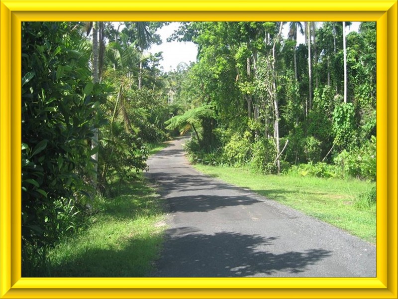 Mission Beach QLD 4852