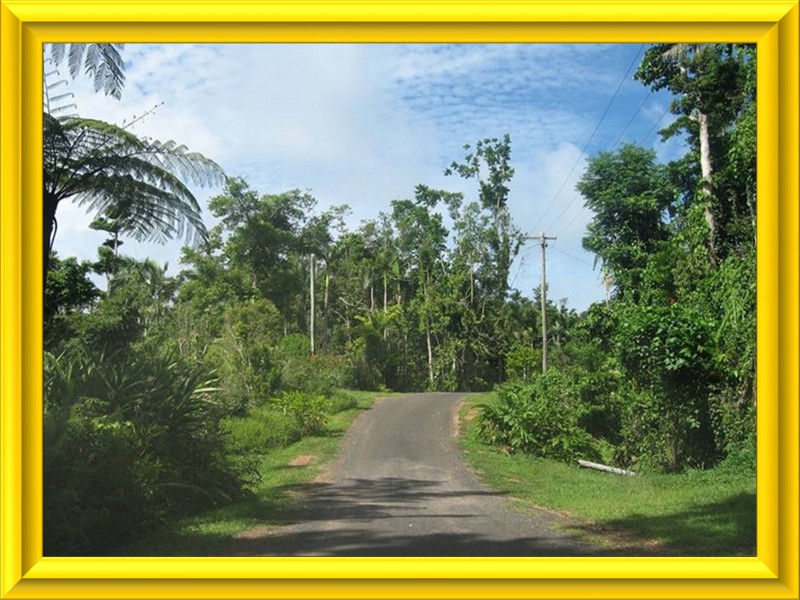 Mission Beach QLD 4852