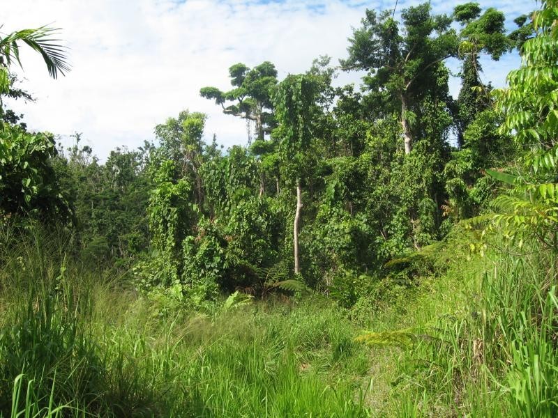 Mission Beach QLD 4852