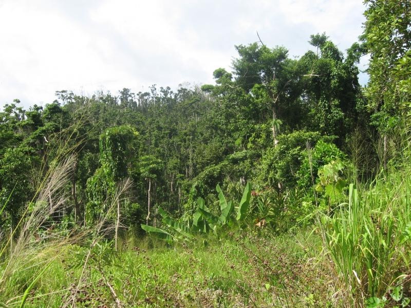 Mission Beach QLD 4852