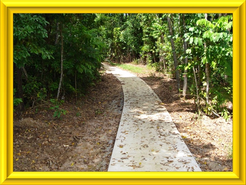 Mission Beach QLD 4852