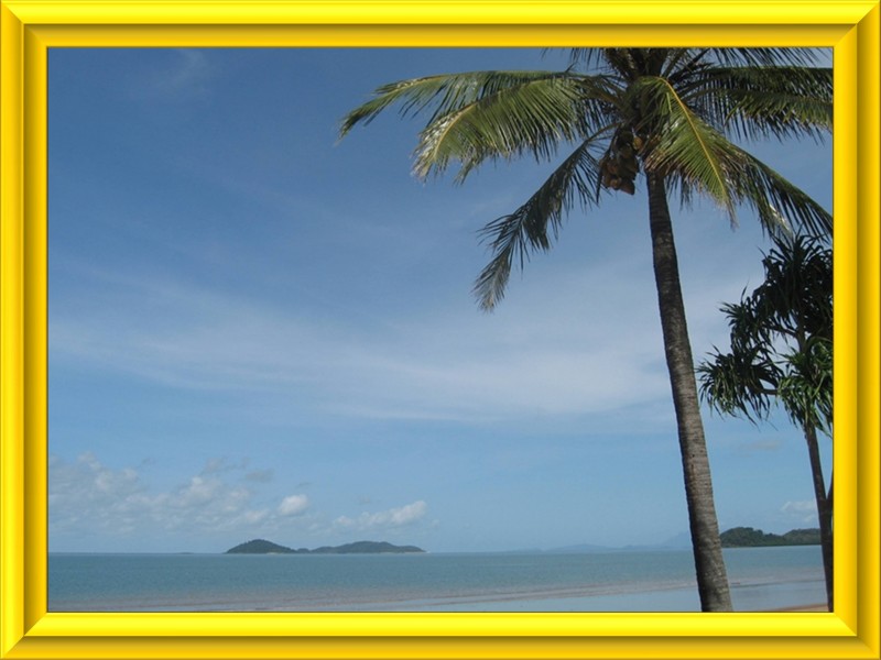 Mission Beach QLD 4852