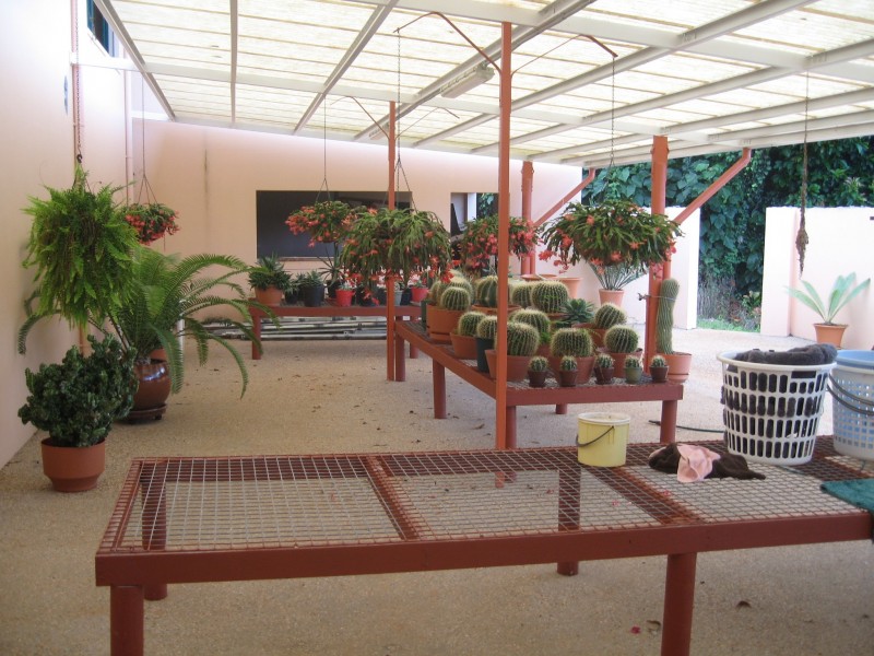 Mission Beach QLD 4852