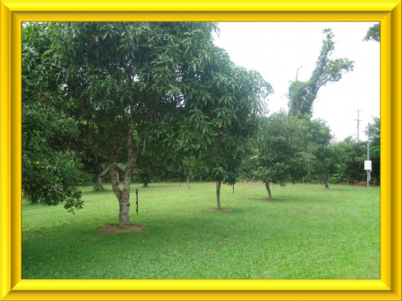 Mission Beach QLD 4852