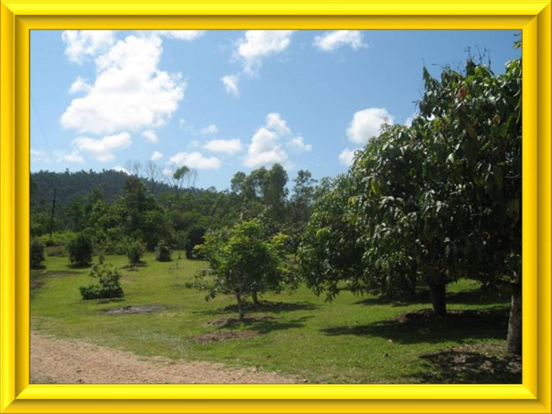 Mission Beach QLD 4852