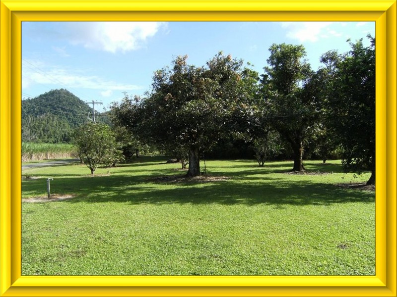 Tully QLD 4854