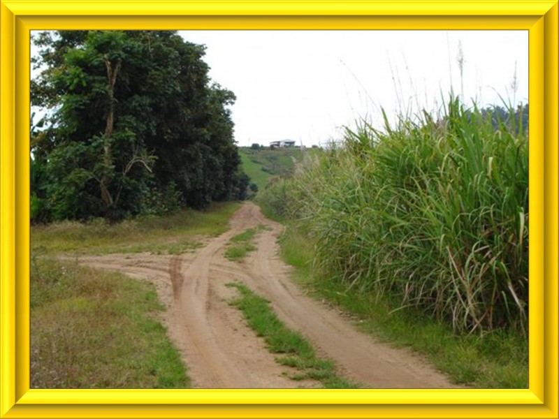 Mission Beach QLD 4852