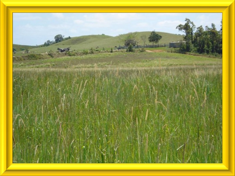 Mission Beach QLD 4852