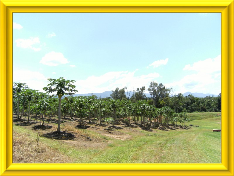 Mission Beach QLD 4852