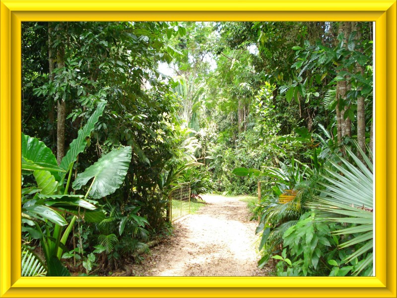 Mission Beach QLD 4852