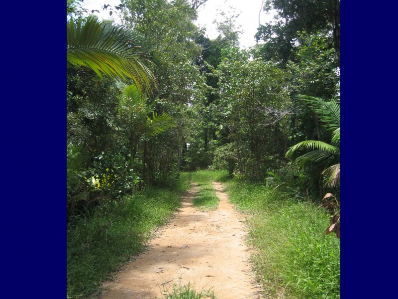 Mission Beach QLD 4852