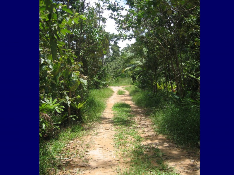 Mission Beach QLD 4852