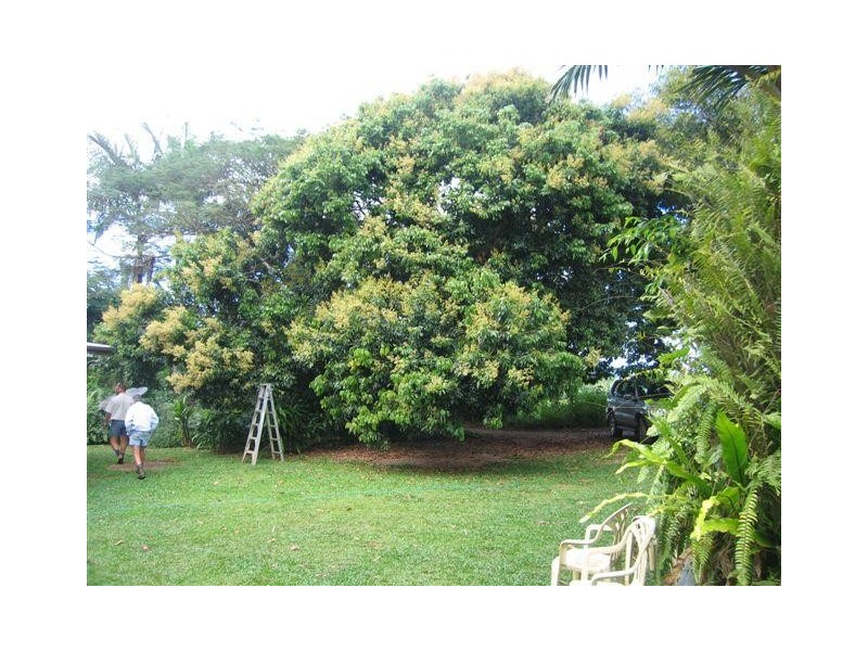 Mission Beach QLD 4852