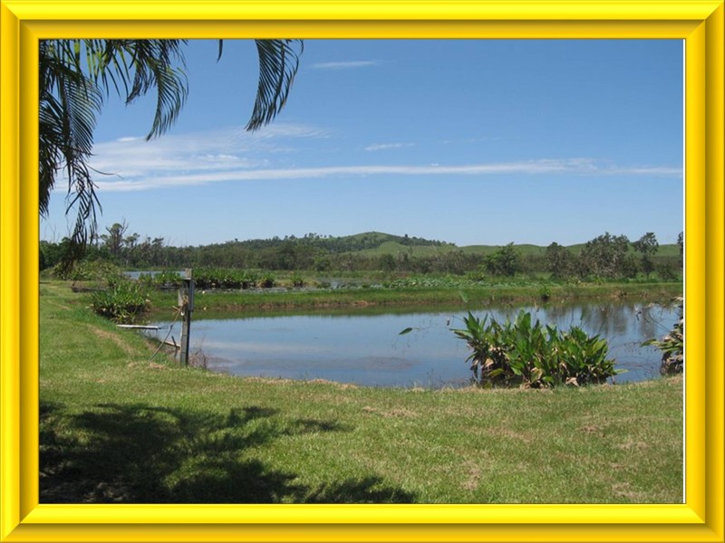 Mission Beach QLD 4852