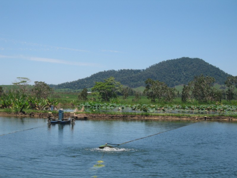 Mission Beach QLD 4852