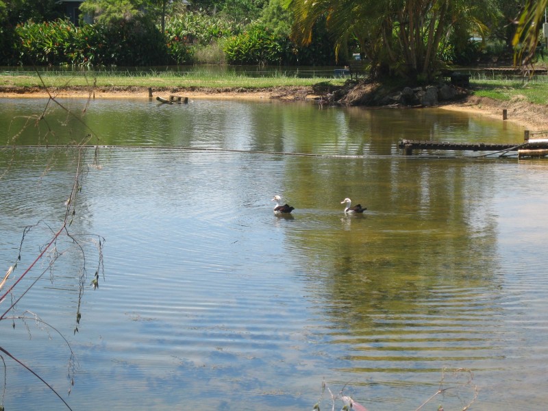 Mission Beach QLD 4852