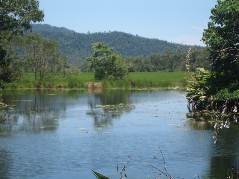 Mission Beach QLD 4852