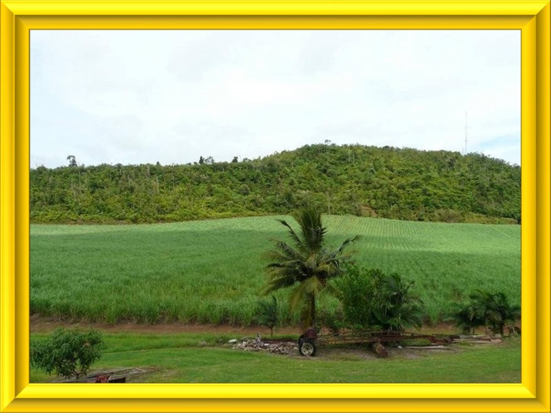 Mission Beach QLD 4852