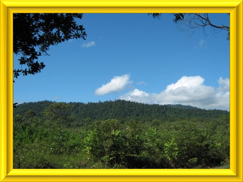 Mission Beach QLD 4852