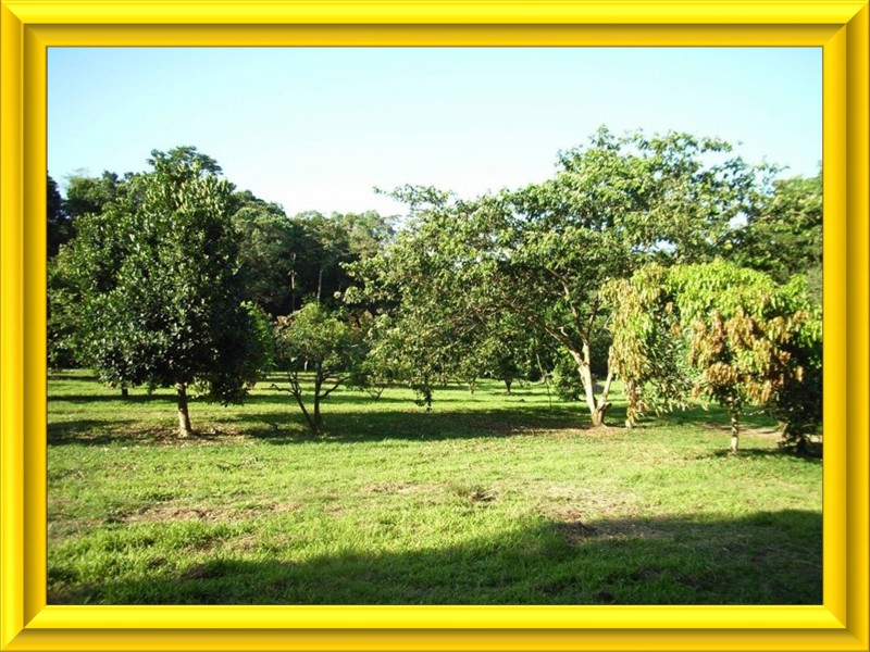 Mission Beach QLD 4852