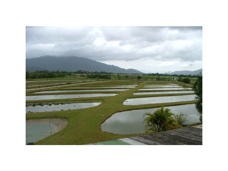 Mission Beach QLD 4852
