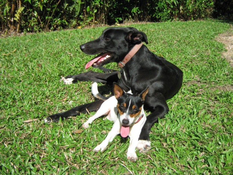 Mission Beach QLD 4852