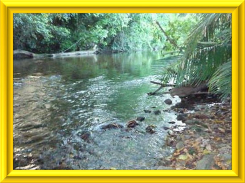 Mission Beach QLD 4852