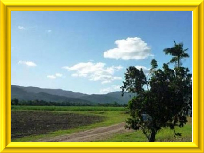 Mission Beach QLD 4852