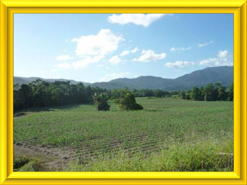 Mission Beach QLD 4852